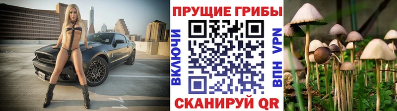 Псилоцибиновые грибы MAGIC MUSHROOMS  Гаврилов Посад 